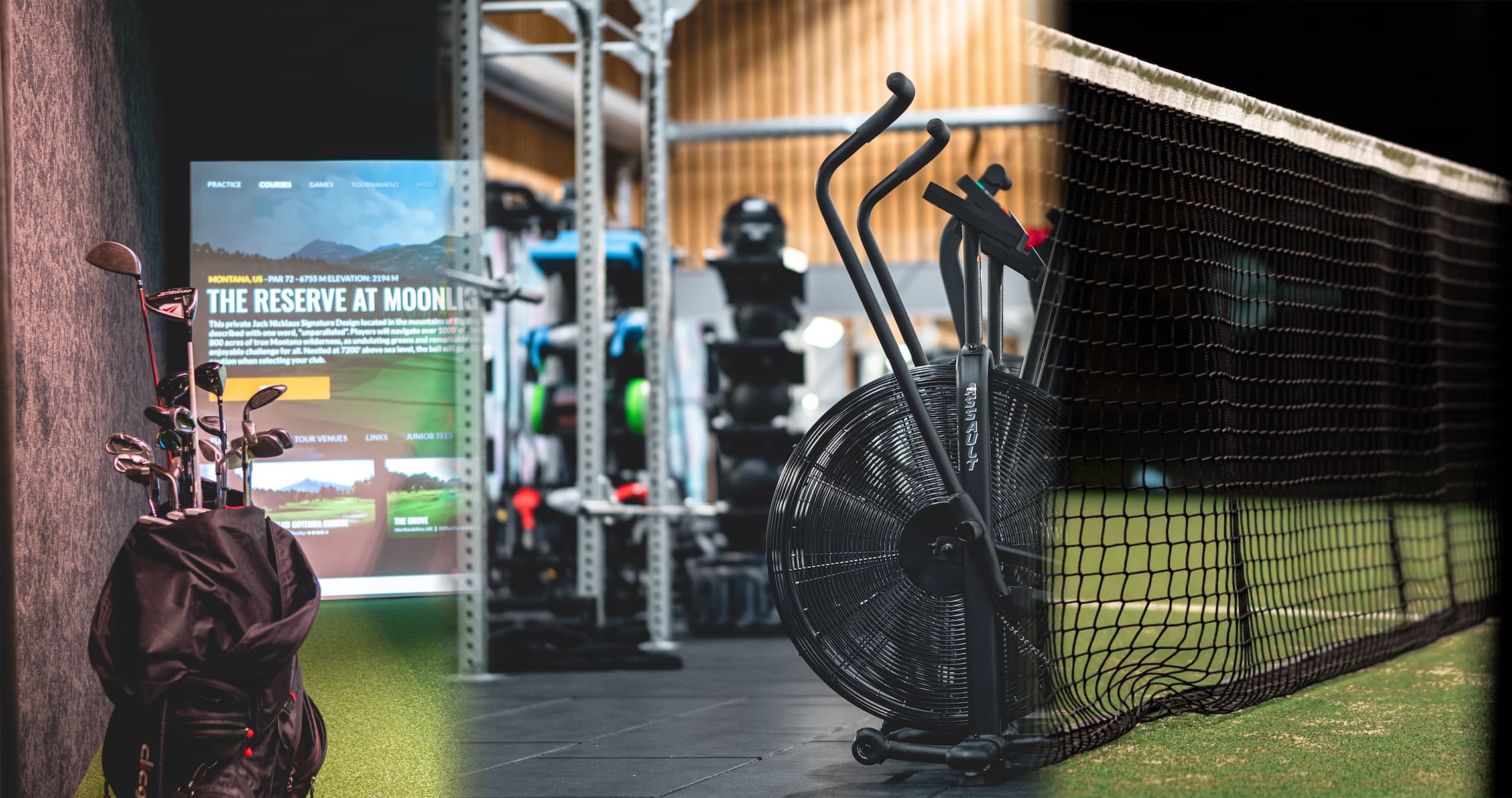 MOVE Wellness